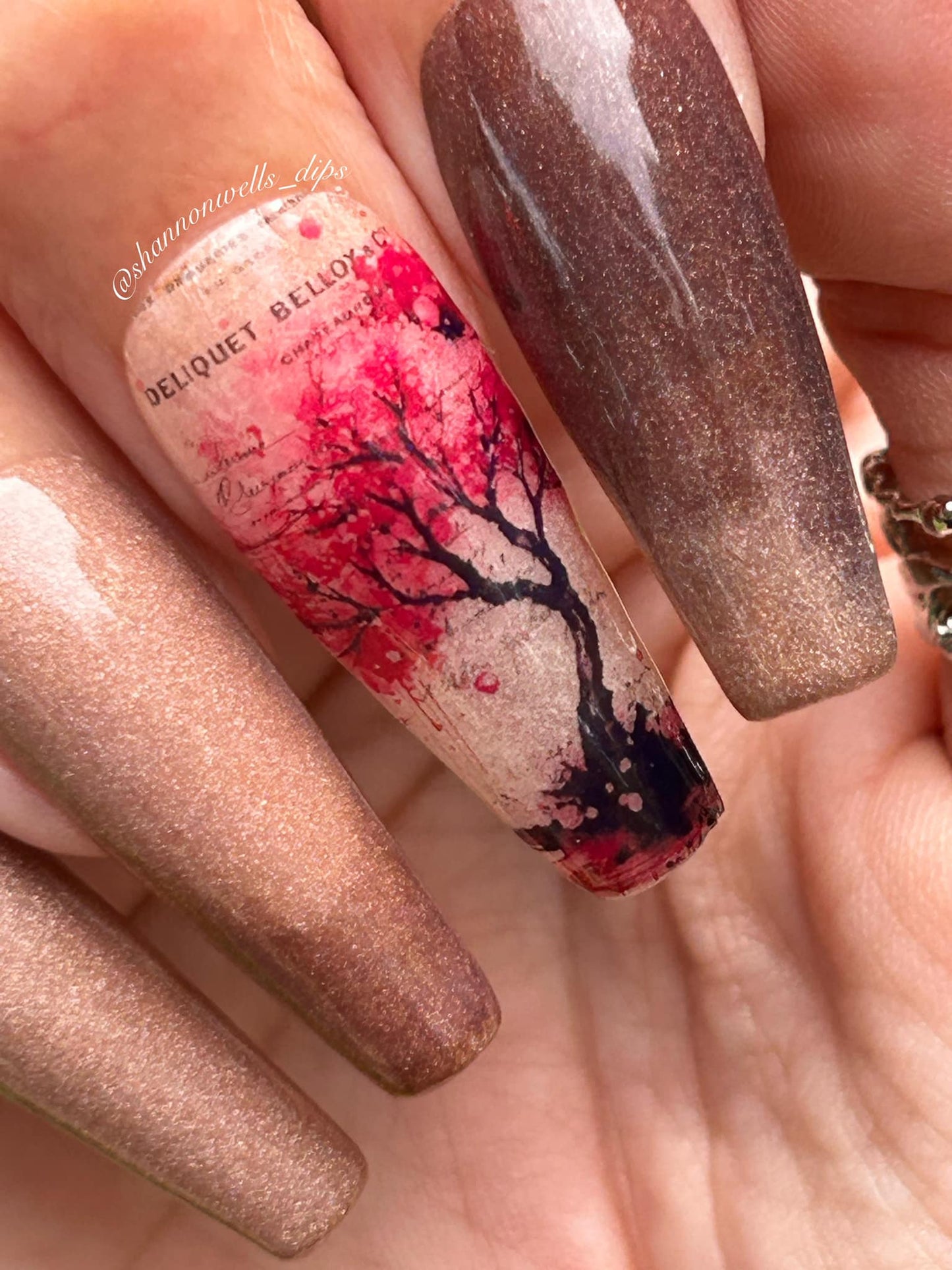 Cherry Blossom