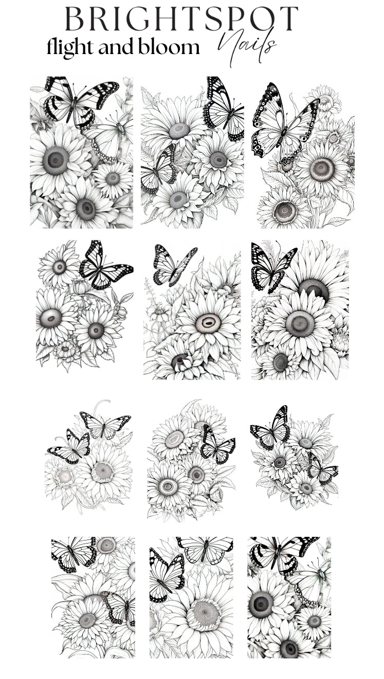 flight and bloom