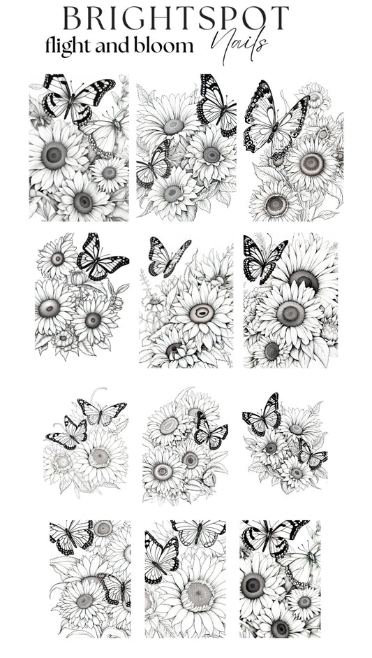 flight and bloom