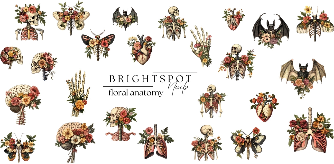 floral anatomy