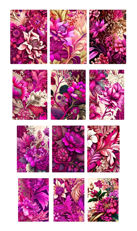 magenta me wild