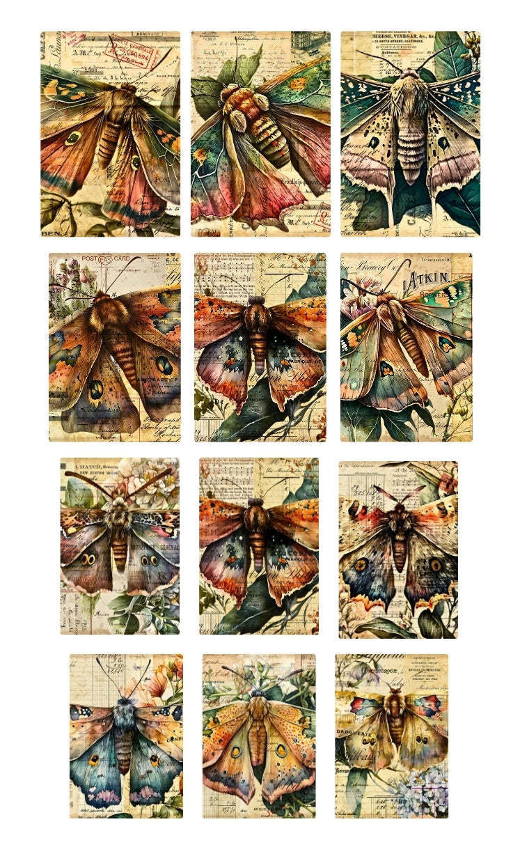 moths on a journey
