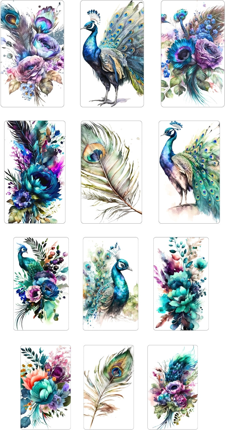 Peacock Floral