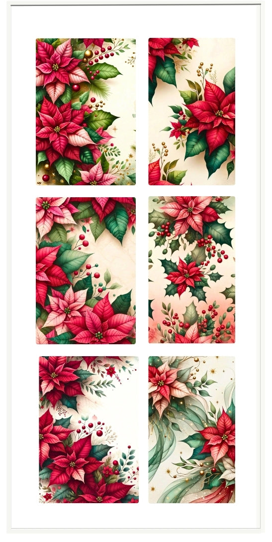 POINSETTIA