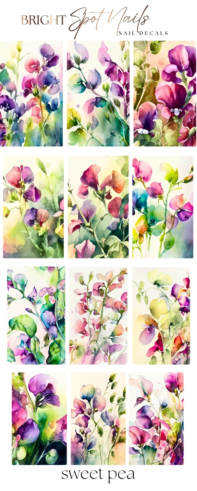 sweet pea
