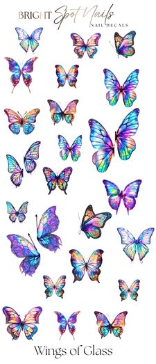 Wings of Glass