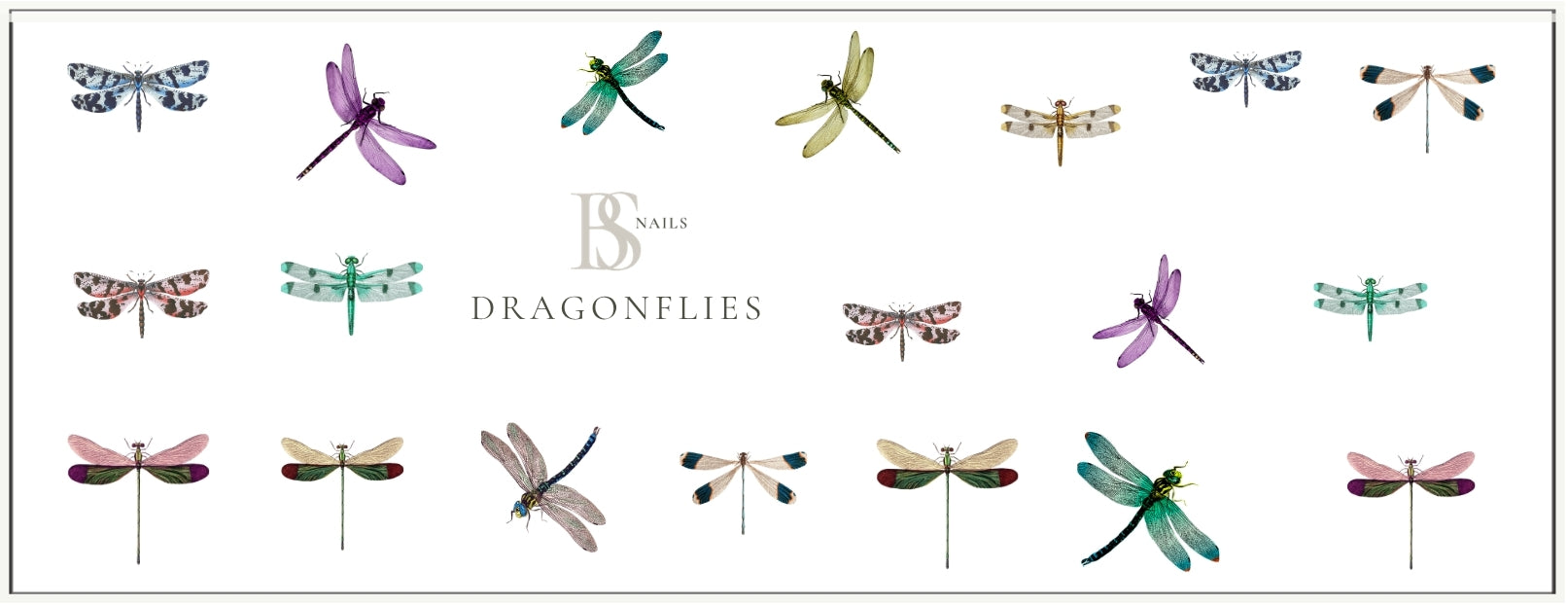 Waterslide Nail Decal |DRAGONFLIES