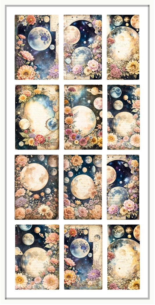 FLORAL  GALAXY