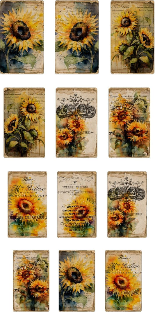 JJ Sunflowers