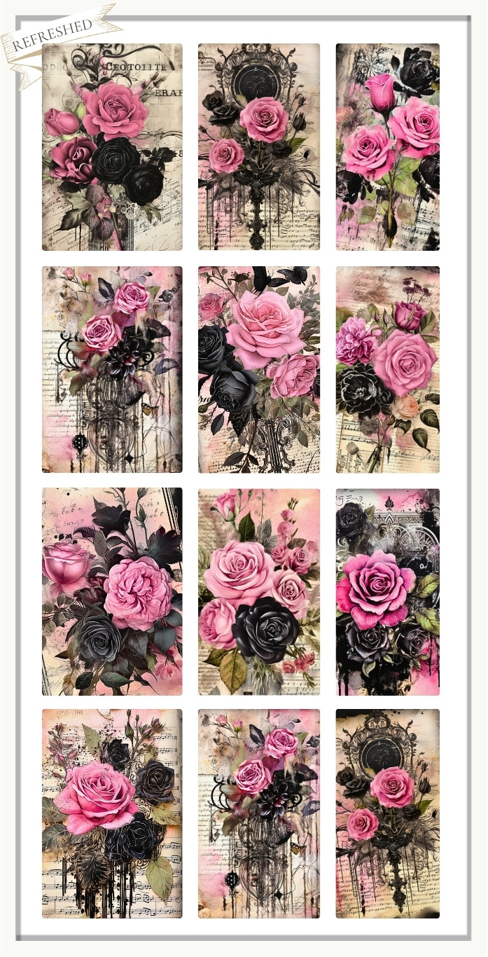 Pink Rose