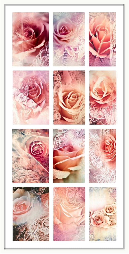 ROSES AND LACE