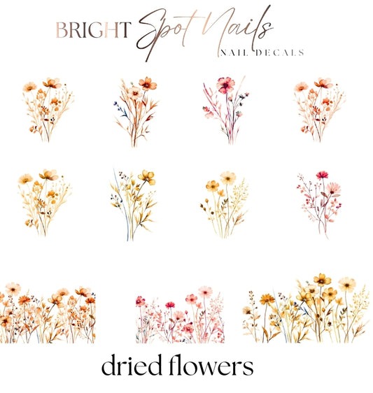 dried flowers