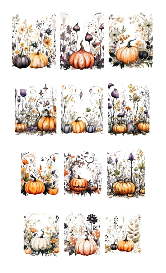 fall's botanical