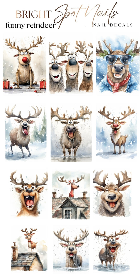 funny reindeer