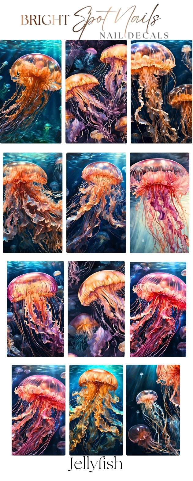 jellyfish