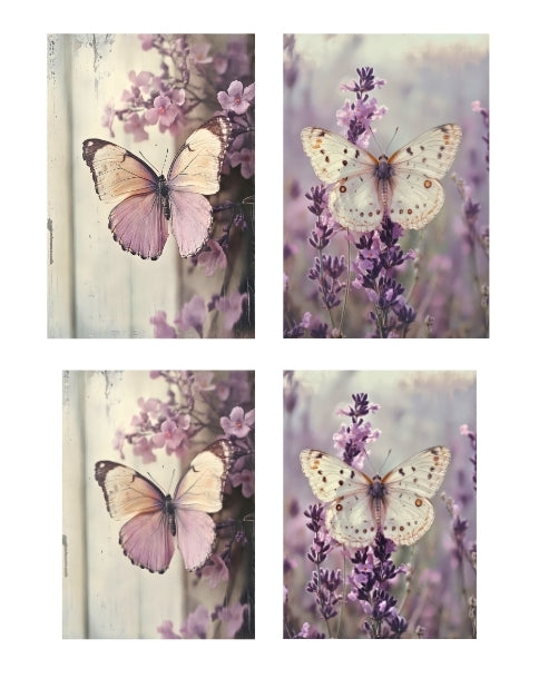 Lavender wings