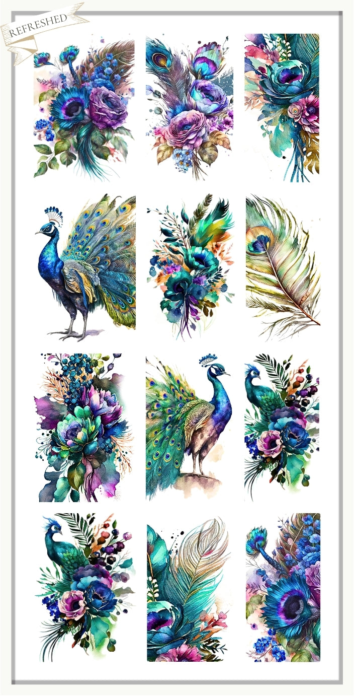 Peacock Floral