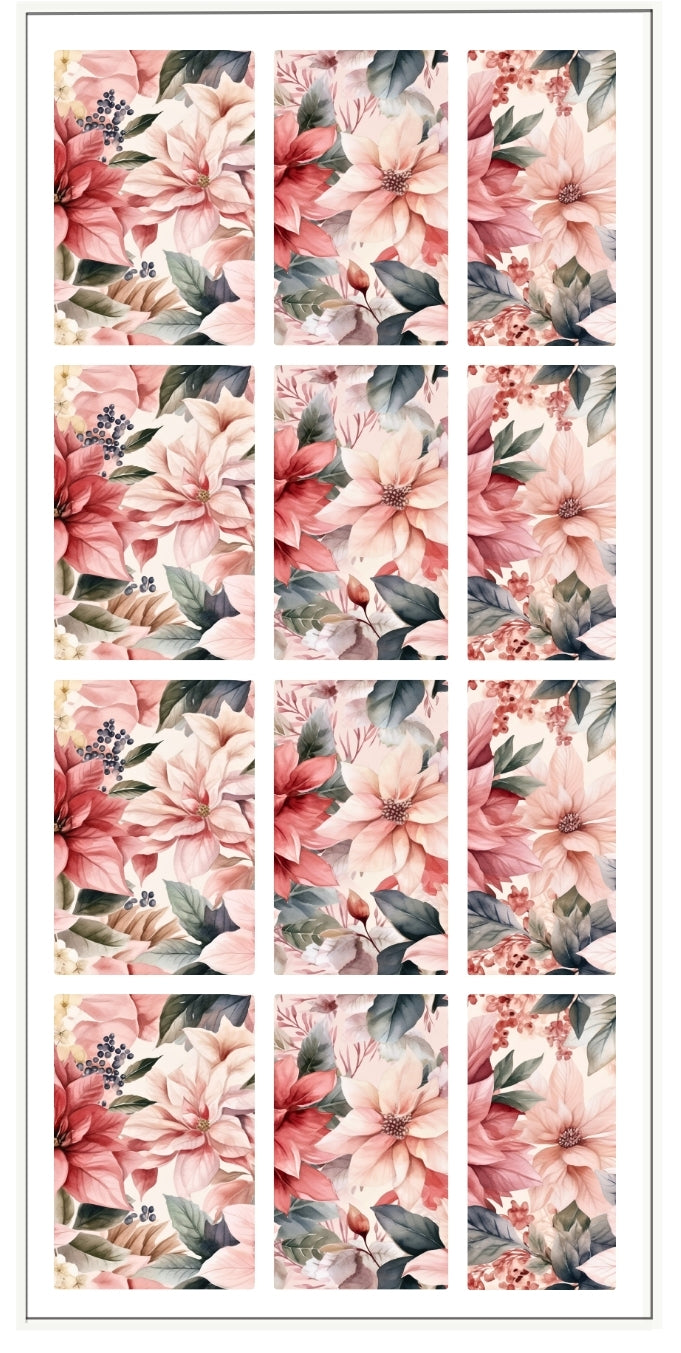 PINK POINSETTIA