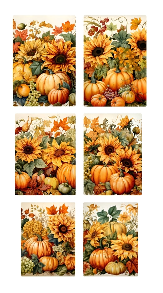 pumpkin fest