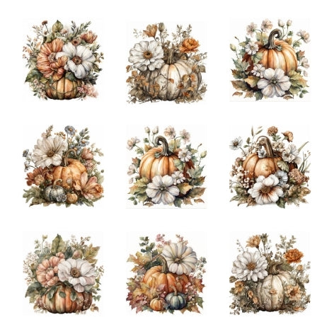 Pumpkin blooms