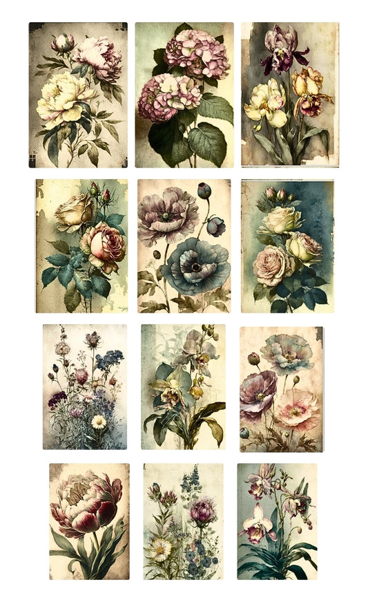 Wedgwood Blue