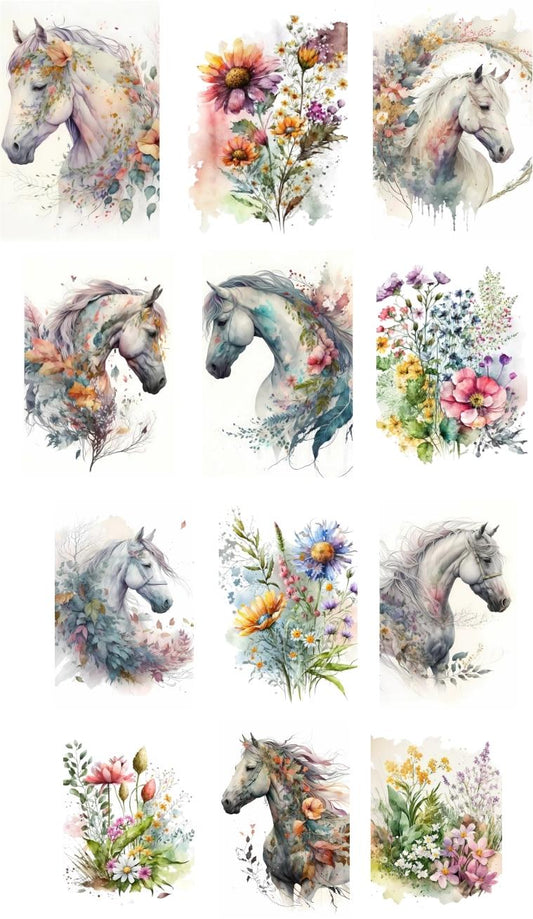 Wild Horses and Wild Flowers