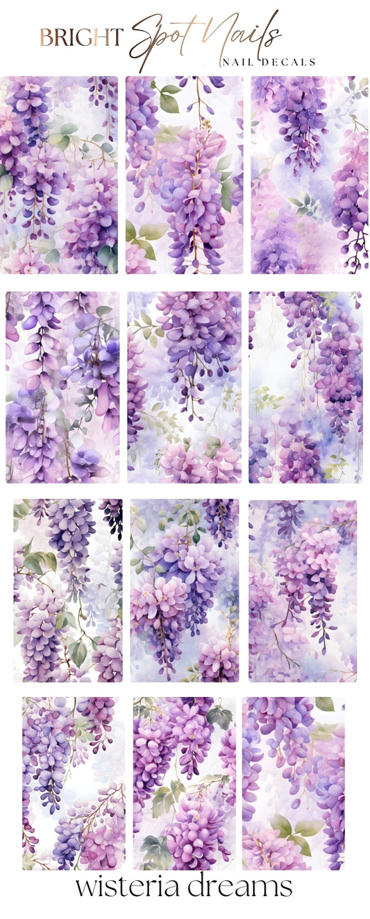 wisteria dreams